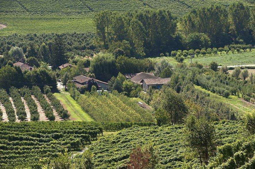 Cascina Ballarin Βίλα La Morra Εξωτερικό φωτογραφία