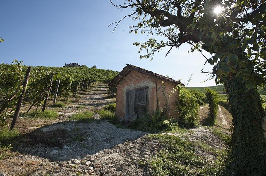 Cascina Ballarin Βίλα La Morra Εξωτερικό φωτογραφία