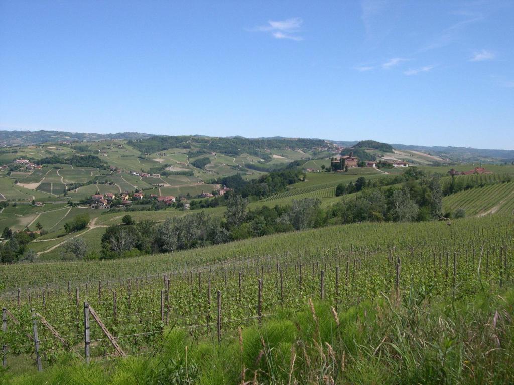 Cascina Ballarin Βίλα La Morra Εξωτερικό φωτογραφία